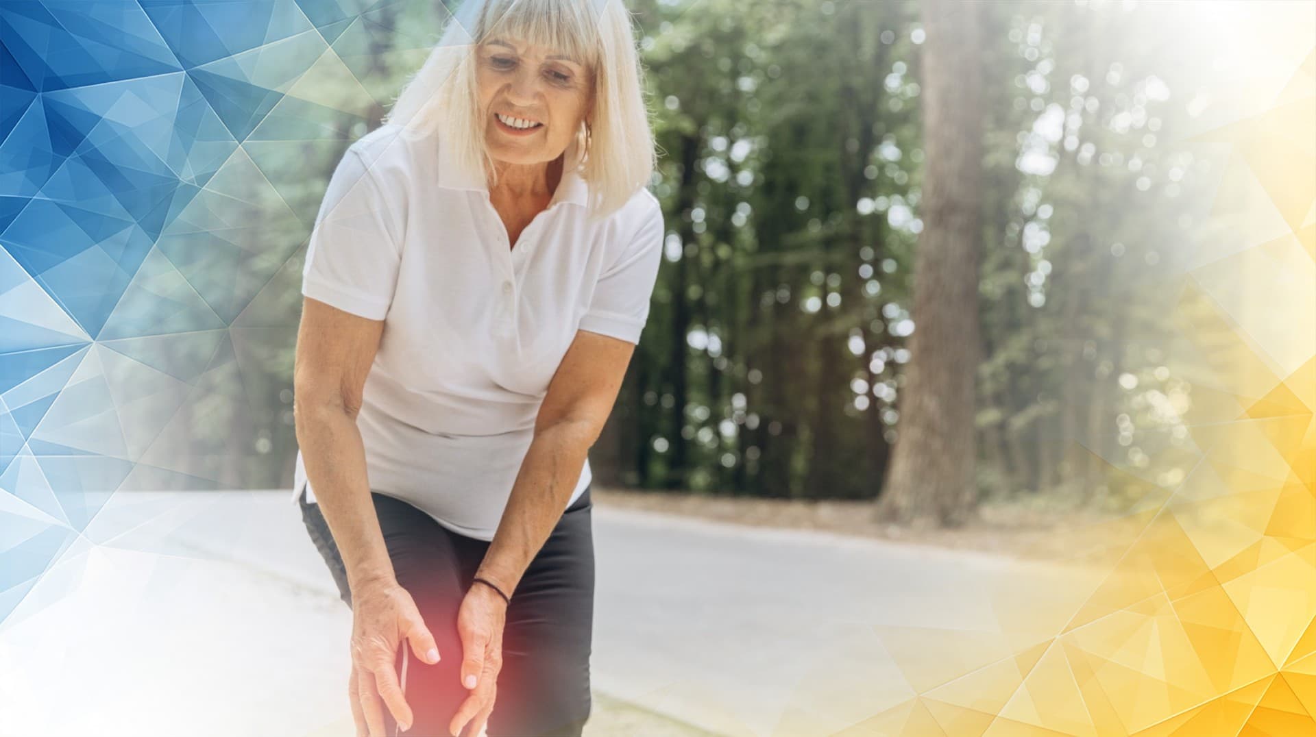 Nutritional Foundations for Knee Cartilage Recovery: The Evidence-Based Role of Diet and Supplements