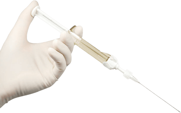 Cartilage illustration left