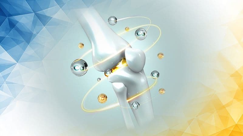 ChondroFiller in Cartilage Regeneration and Joint Healing