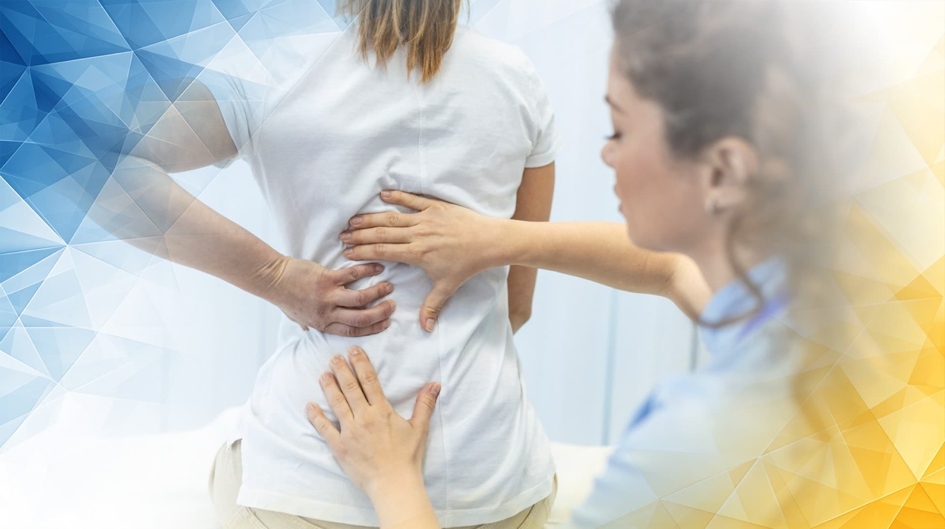 Cartilage Structure Types and Essential Roles in the Human Body